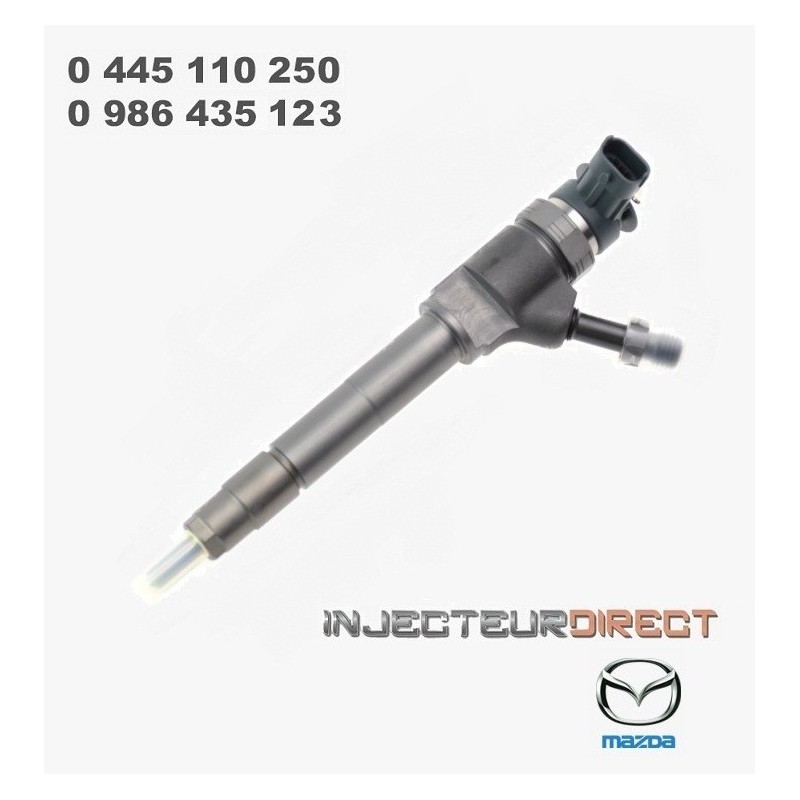 RÉPARATION INJECTEUR BOSCH 0445110239