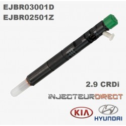 Injecteur DELPHI EJBR03001D 2.9 CRDI