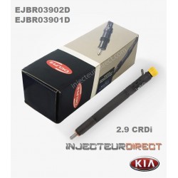 INJECTEUR DELPHI EJBR03902D