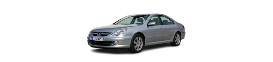 injecteur Peugeot 607