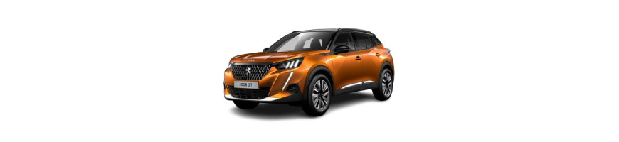 Injecteur Peugeot 2008 II