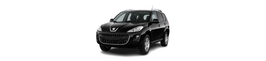 Injecteur Peugeot 4007