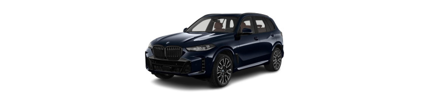 Injecteur BMW X5 3.0 d