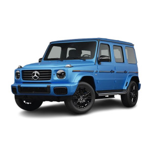Injecteur MERCEDES-BENZ Classe G G280 CDI