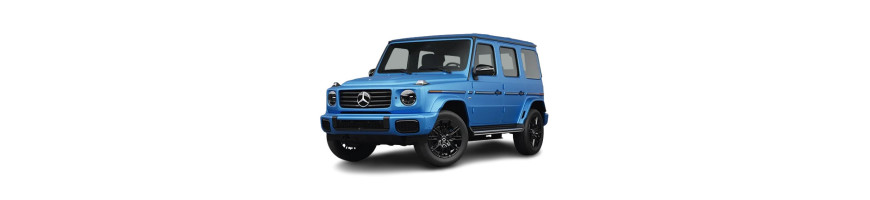 Injecteur MERCEDES-BENZ Classe G G400 CDI