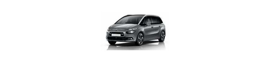 Injecteur Citroën C4 SPACETOURNER 1.6 BlueHDi 100cv