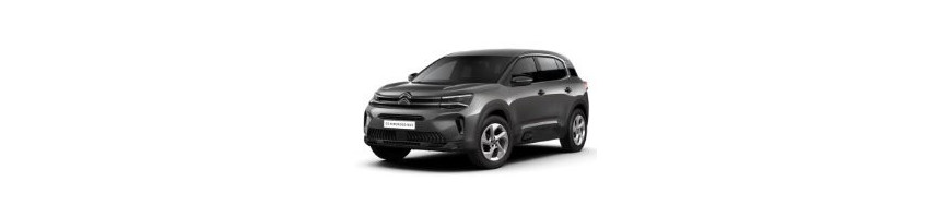 Injecteur Citroën C5 AIRCROSS 1.5 BlueHDI