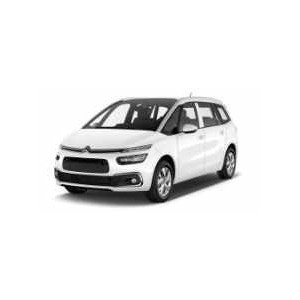 Injecteur Citroën GRAND C4 SAPCETOURER 1.6 BlueHDi 120cv