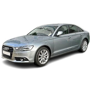 Injecteur Audi A6 2.5 TDI