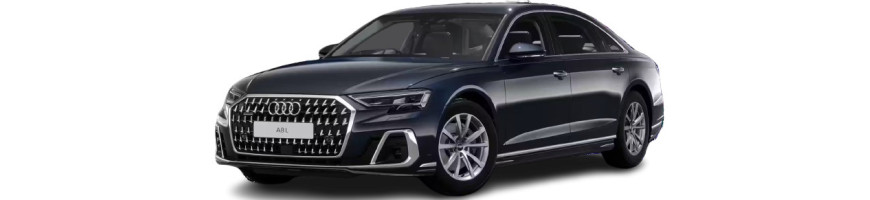 Injecteur Audi A8 2.5 TDI