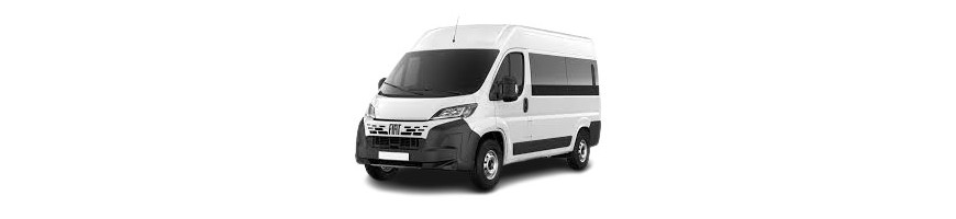 DUCATO III