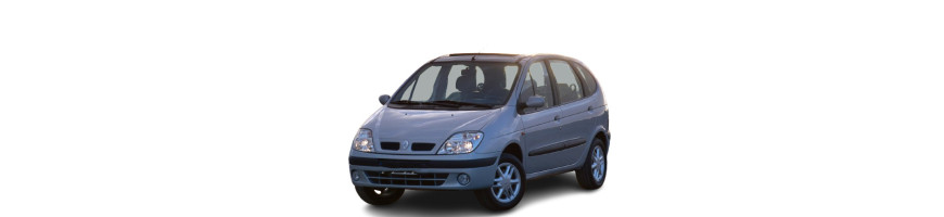 Injecteur RENAULT SCÉNIC