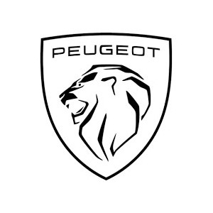 Injecteur Peugeot