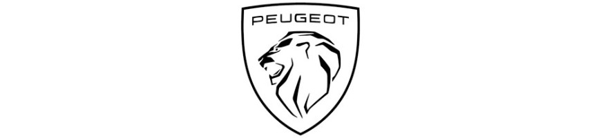 Injecteurs pour Peugeot HDi – Reconditionné ou Neuf