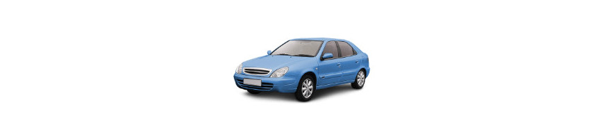 Injecteur CITROËN XSARA