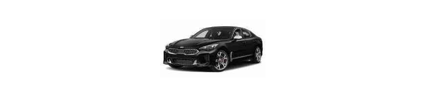 Injecteur KIA STINGER