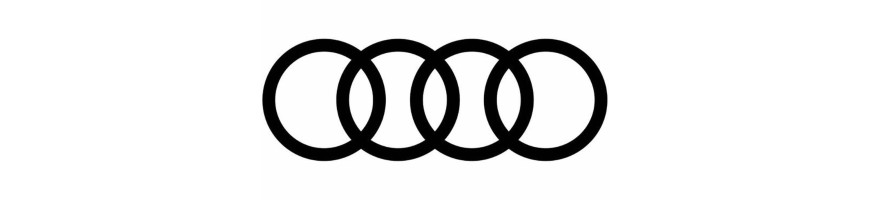 Injecteur AUDI