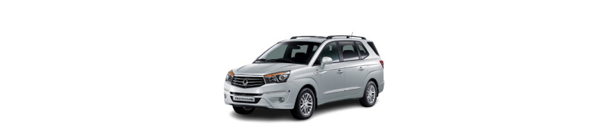 Injecteur SSANGYONG Rodius