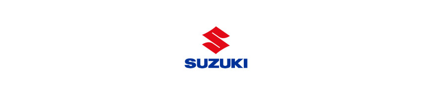 Injecteur SUZUKY