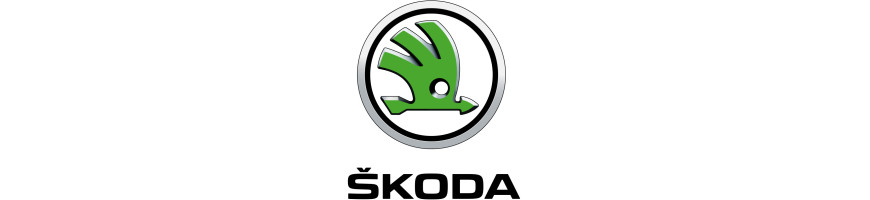 Injecteur SKODA