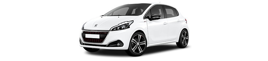 Injecteur Peugeot 208 1.6 e-HDi