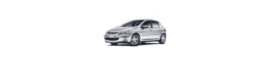 injecteur Peugeot 307 1.4 HDI