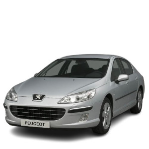 injecteur Peugeot 407 2.0 HDI