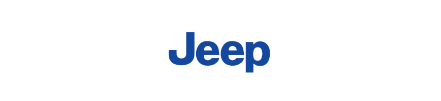 Injecteur JEEP