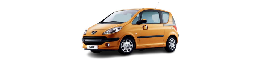 Injecteur Peugeot 1007 1.6 HDI