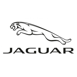 Injecteur JAGUAR