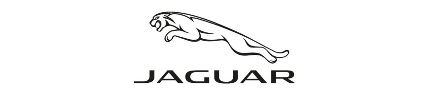 Injecteur JAGUAR