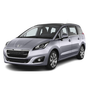 Injecteur Peugeot 5008 2.0 HDI
