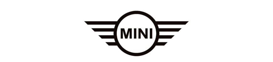 Injecteur MINI