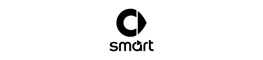 Injecteur SMART
