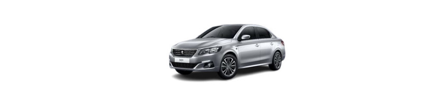 injecteur Peugeot 301